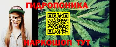 a pvp Пенза