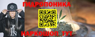 a pvp Пенза