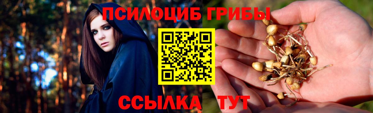 Псилоцибиновые грибы мицелий  Вход с VPN  Острогожск 